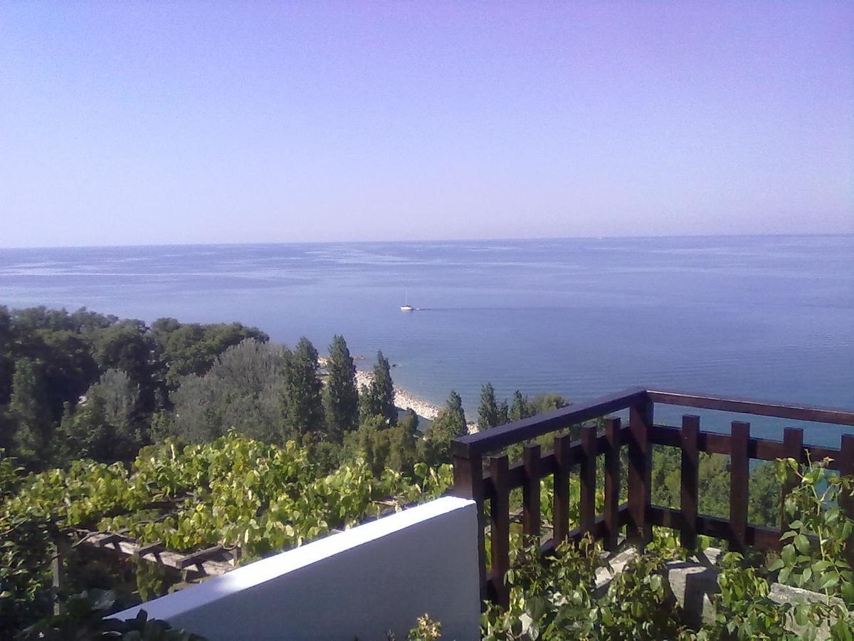 Agios Ioannis  Pelion Orama 아파트 외부 사진