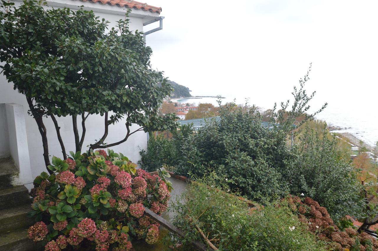 Agios Ioannis  Pelion Orama 아파트 외부 사진