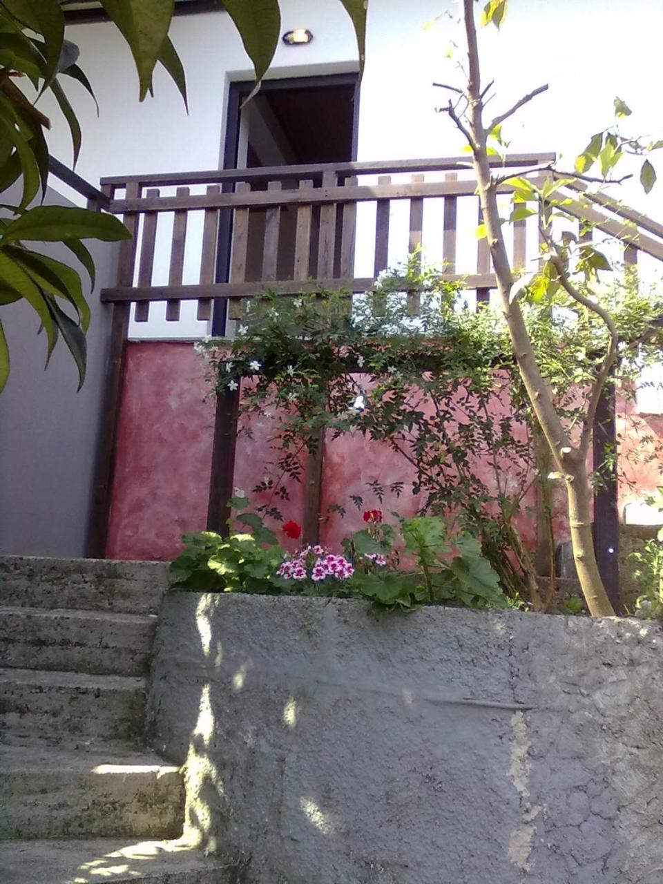 Agios Ioannis  Pelion Orama 아파트 외부 사진